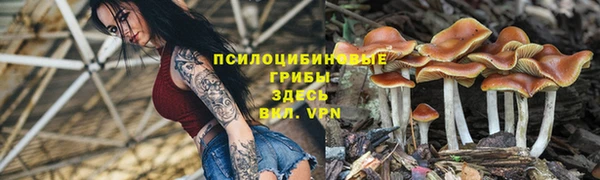 каннабис Баксан