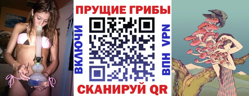 Галлюциногенные грибы ЛСД  Вяземский 